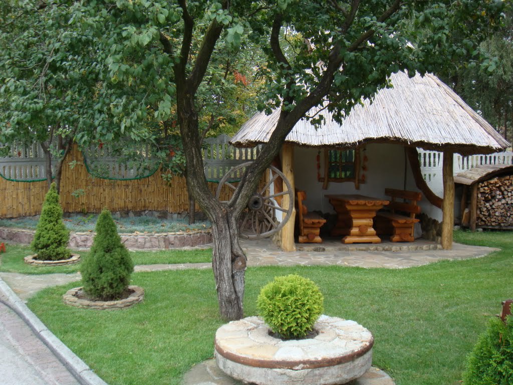 Описание изображения