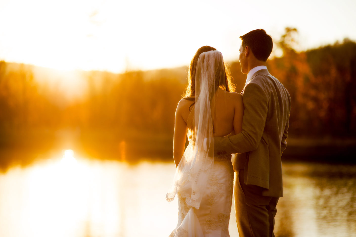 Описание изображения