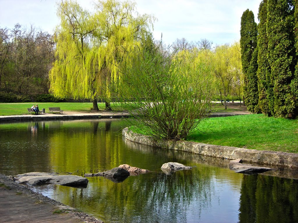 Описание изображения